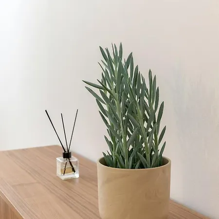 Appartement Palisades *
